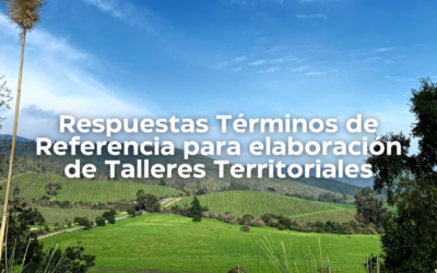 Respuestas ante Términos de Referencia Consultoría Talleres Territoriales