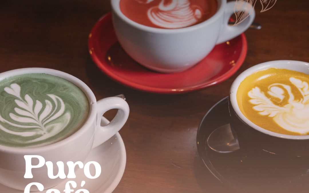 Puro Café: Los pioneros del café de especialidad en Valparaíso